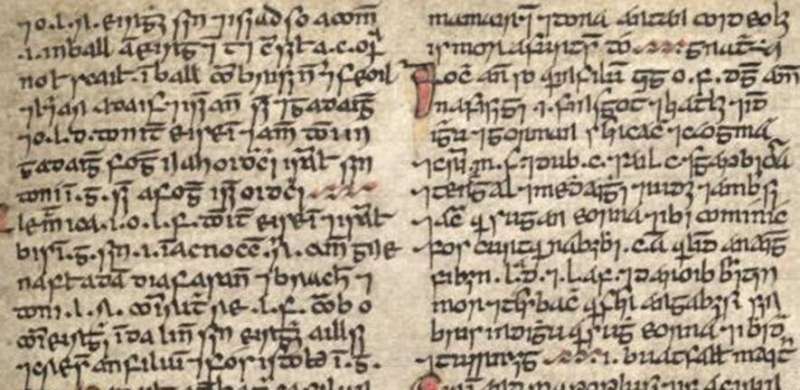 Lost Irish words rediscovered, including the word for ‘oozes pus'
