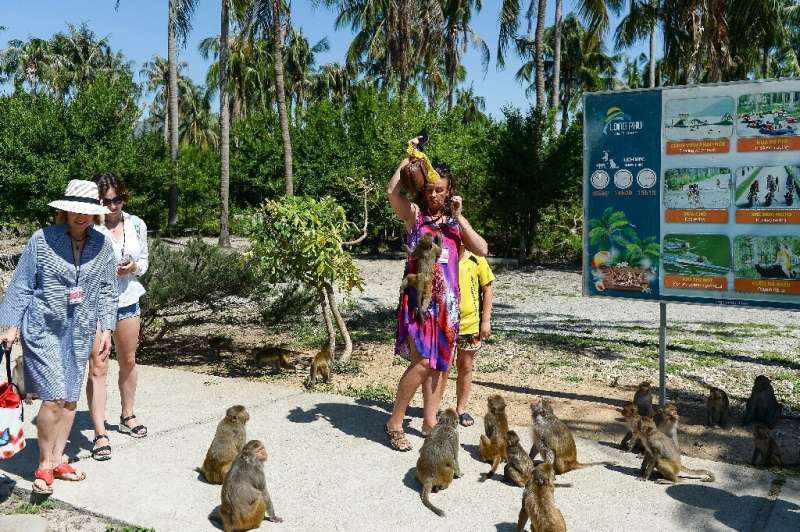 Macaques at Monkey Island in Nha Trang city, Vietnam, are known for snatching bags of crisps, water bottles, cookies and cracker
