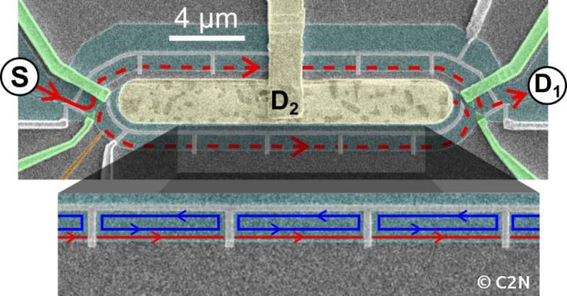 Macroscopic electron quantum coherence in a solid-state circuit