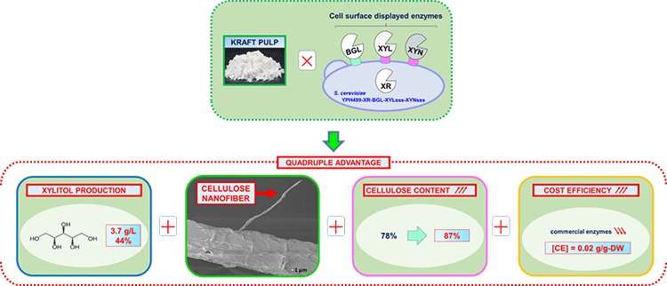 Making xylitol and cellulose nanofibers from paper paste – towards a green and sustainable society