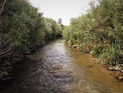 Managing stormwater and stream restoration projects together
