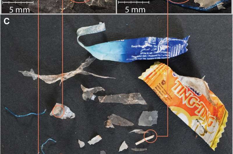 Manta rays and whale sharks found to be consuming massive amounts of plastics around Indonesia