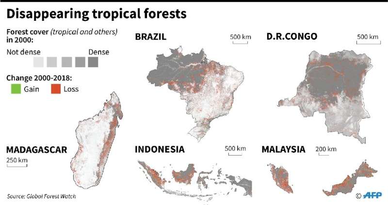 Map showing forest cover since 2000, in the five most affected countries
