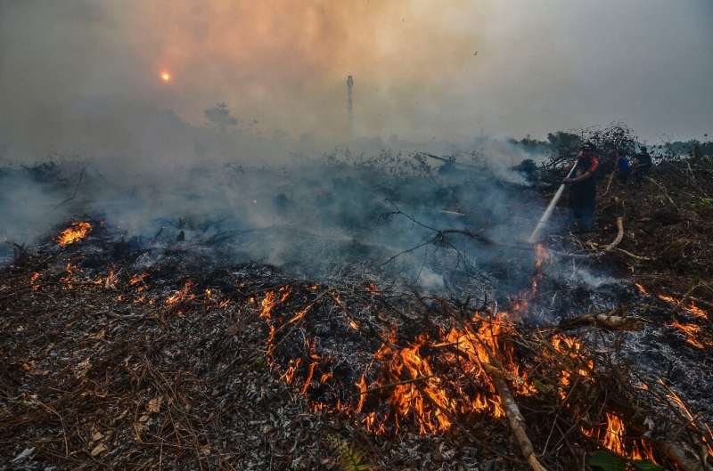 Massive jungle areas in Sumatra and Borneo island are ablaze