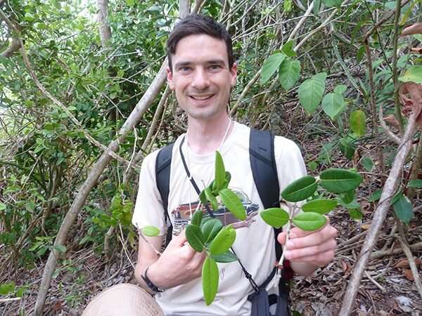 Meet Eugenia walkerae, a newly named plant species from Anguilla