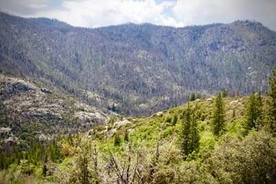 “Megafires” Not Increasing: New Research Confirms Large High-Severity Fires Are Natural In Western USA Forests