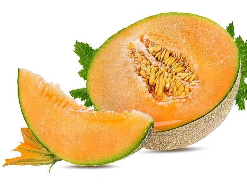 Melons are powerhouses in taste, nutrition