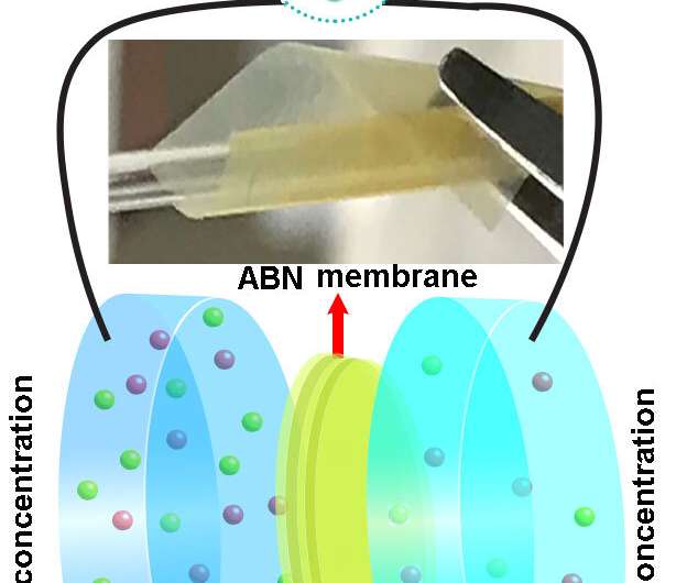 Membrane inspired by bone and cartilage efficiently produces electricity from saltwater