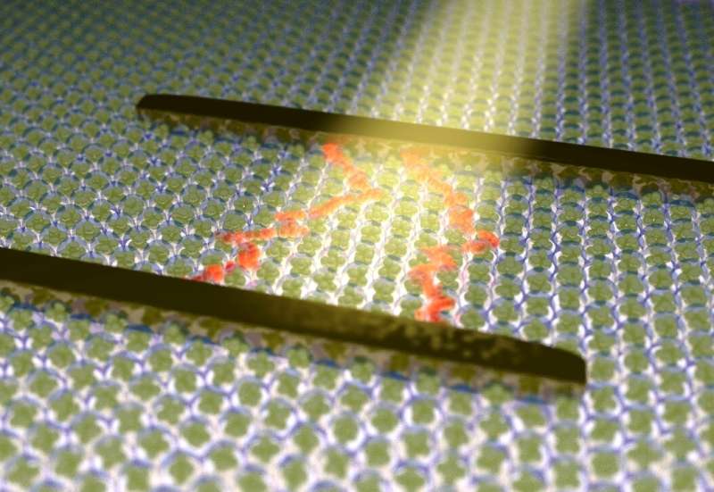 Metal nanoclusters can be used as semiconductors: Key properties observed for first time