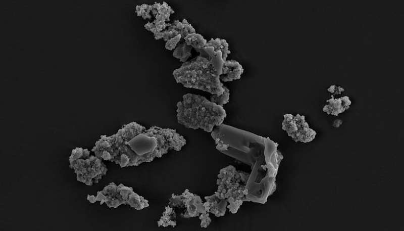 Meteorite-loving microorganism