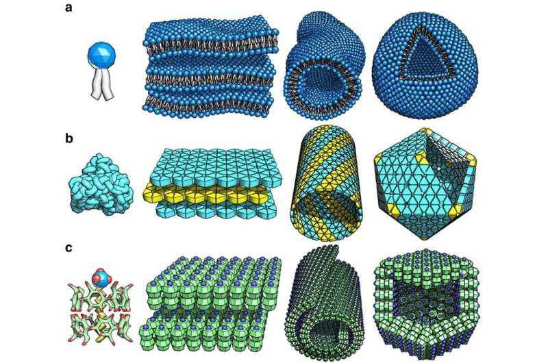 Mimicking how the biological world arranges itself could help advance the next generation of nanomaterials