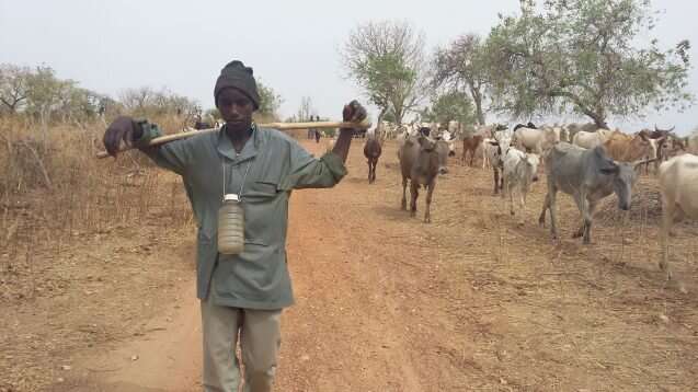 Mixing science with tradition among Burkina Faso’s migratory herders