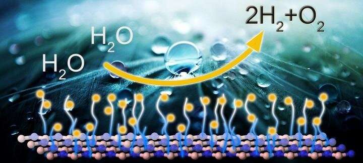 Modified 'white graphene' for eco-friendly energy