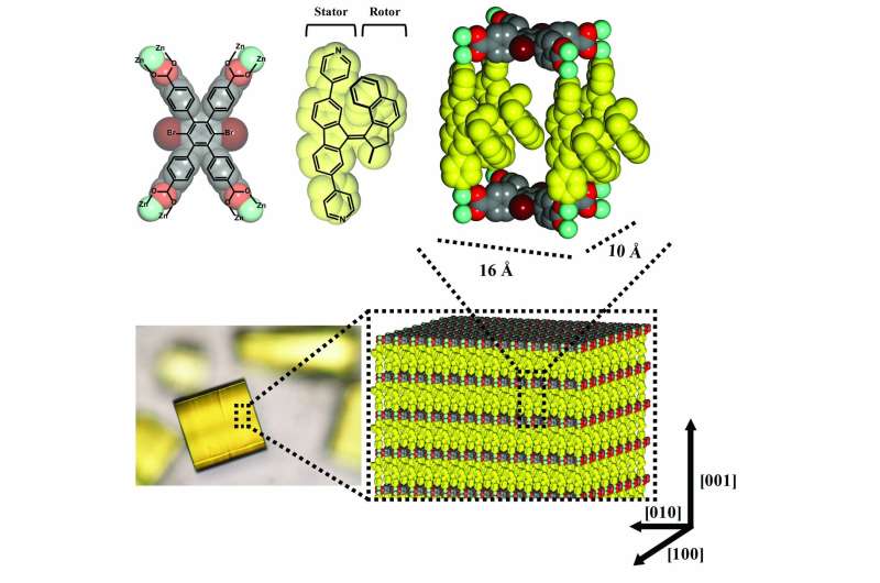 Molecular motors run in unison in a metal-organic framework
