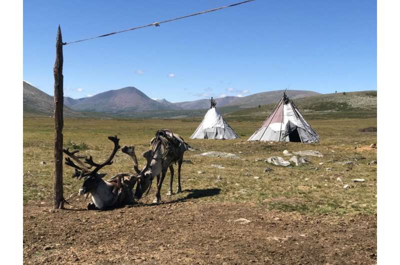 Mongolia's melting ice reveals clues to history of reindeer herding, threatens way of life