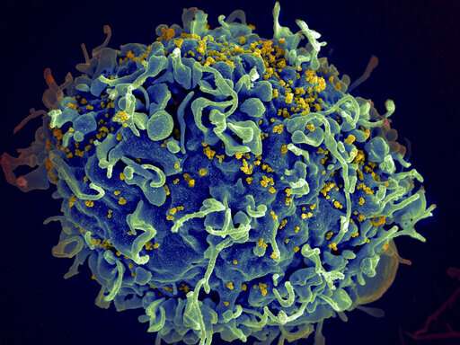 在两项大型研究中，每月的注射和药物可以控制HIV