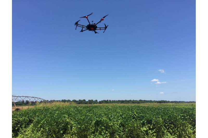 More advanced remote-sensing technology needed for weed detection, management
