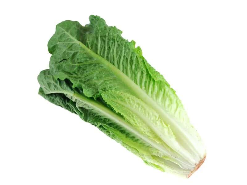 More E. coli illnesses linked to tainted romaine lettuce