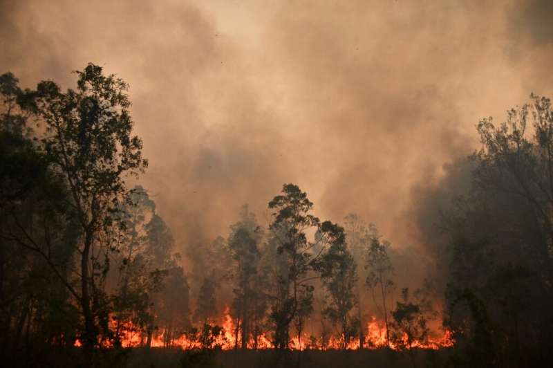 More than 100 fires were still burning across New South Wales and Queensland on Sunday, including dozens of blazes that remained