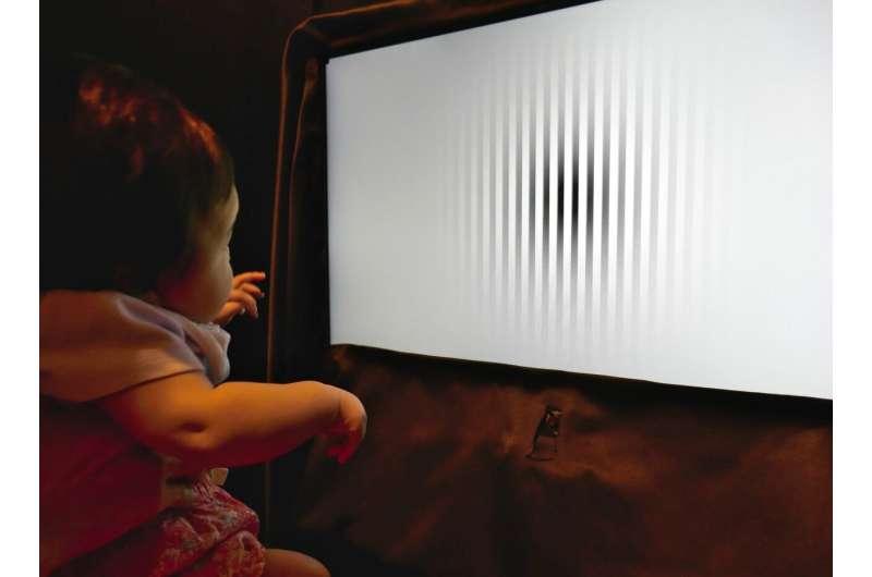 Motion perception of large objects gets worse during infant development