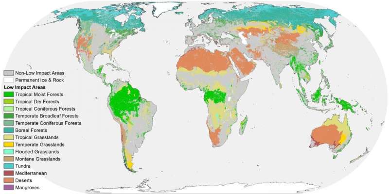 Much of the earth is still wild, but threatened by fragmentation