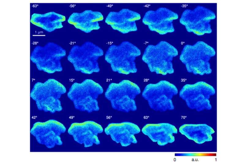 Multimodal X-ray and electron microscopy of the Allende meteorite