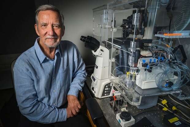 Mystery novel and dream spur key scientific insight into heart defect