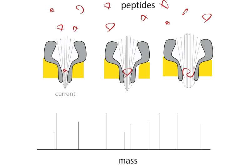 Nanopores make portable mass spectrometer for peptides a reality