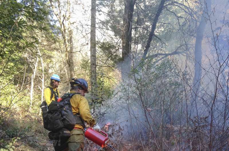 Native approaches to fire management could revitalize communities, Stanford researchers find