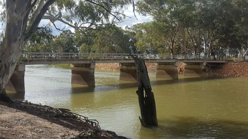 Neurotoxic cyanotoxins prevalent in eastern Australian freshwater systems study shows