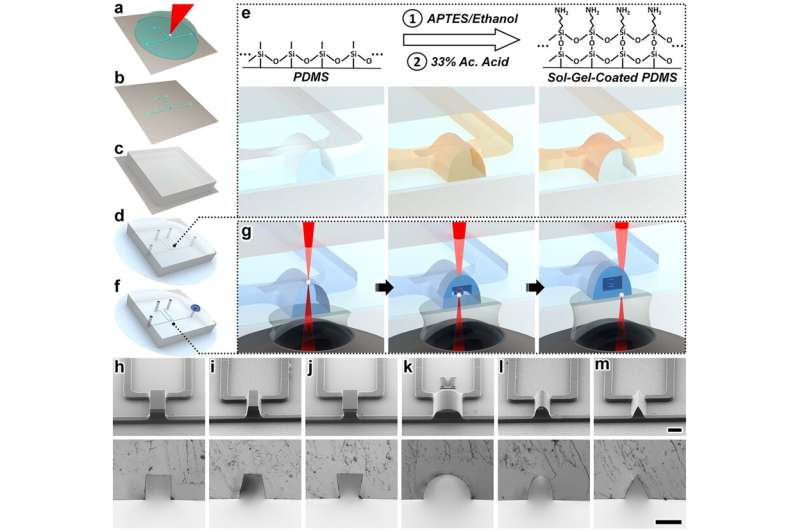 New 3-D nanoprinting strategy opens door to revolution in medicine, robotics