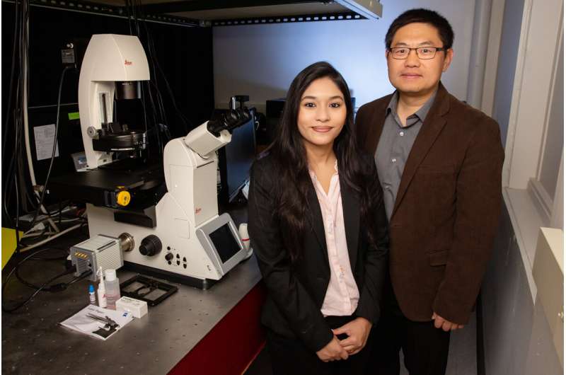 New approach uses light to stabilize proteins for study