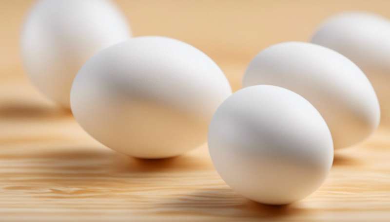 New cholesterol study may lead you to ask: Pass the eggs, or pass on the eggs?