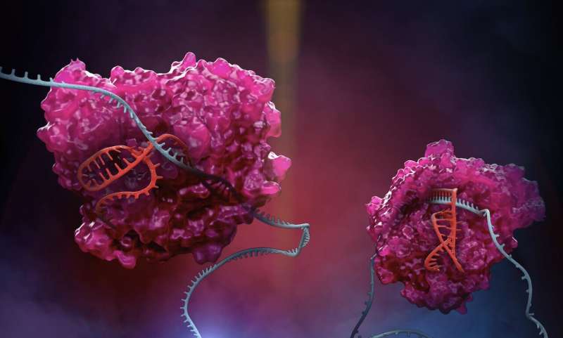 New CRISPR platform expands RNA editing capabilities