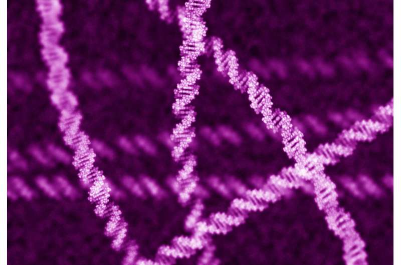New database enhances genomics research collaboration