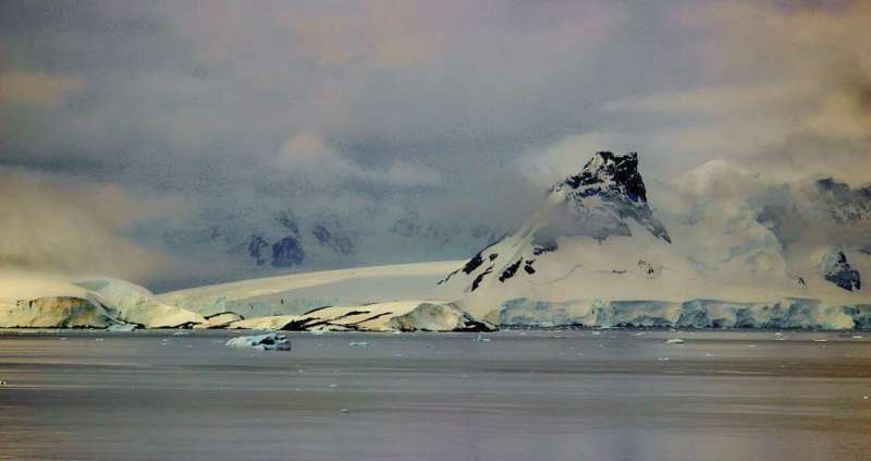 New data on underwater volcanoes in Bransfield Strait, Antarctica
