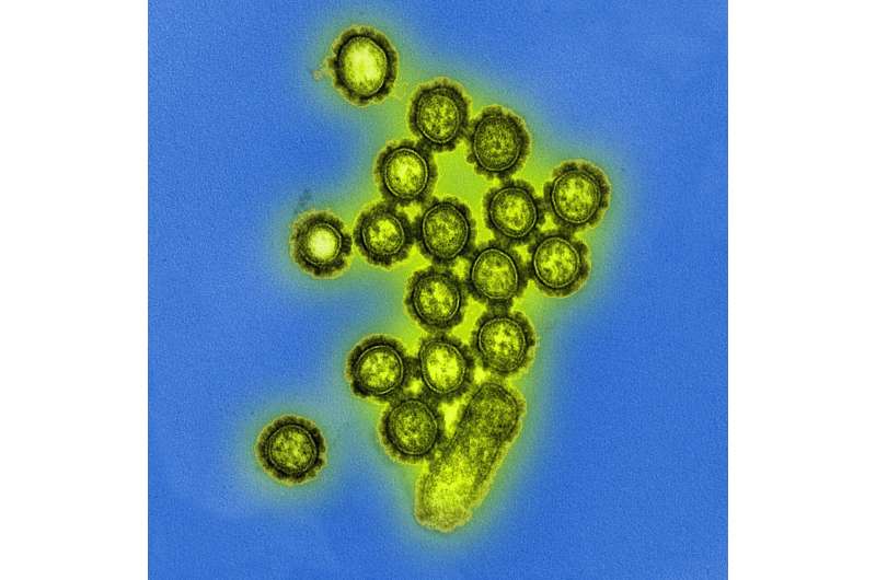 New flu drug drives drug resistance in influenza viruses