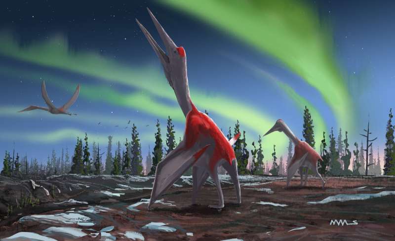 New flying reptile species was one of largest ever flying animals