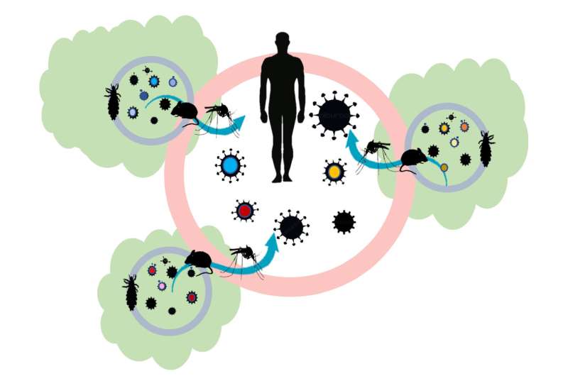 New hypothesis links habitat loss and the global emergence of infectious diseases