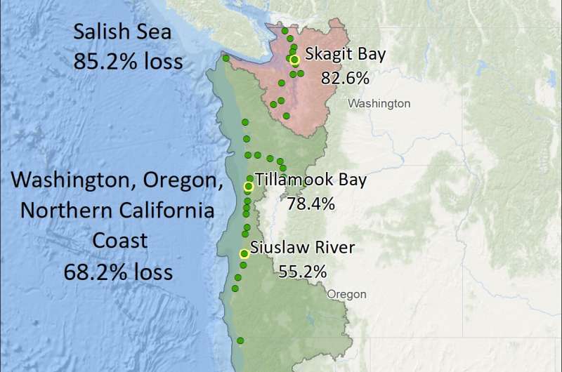 New mapping reveals lost west coast estuary habitat
