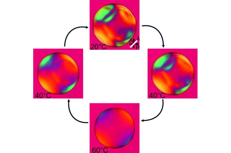 New method inverts the self-assembly of liquid crystals