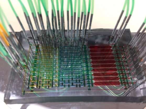 New microfluidics platform separates cell types for RNA profiling