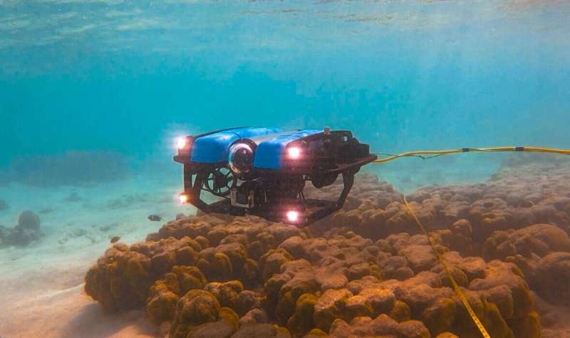 New monitoring technque lets your remotely operated vehicle do the snorkelling