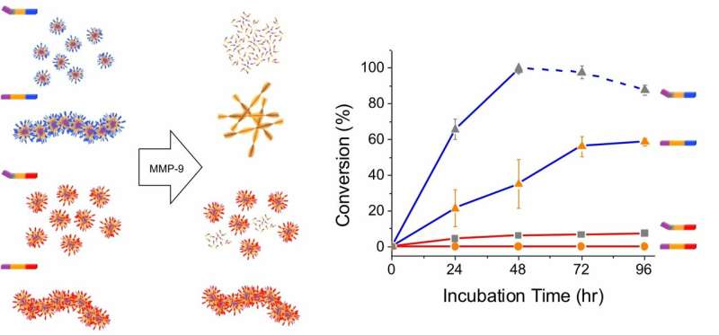 New paper provides design principles for disease-sensing nanomaterials