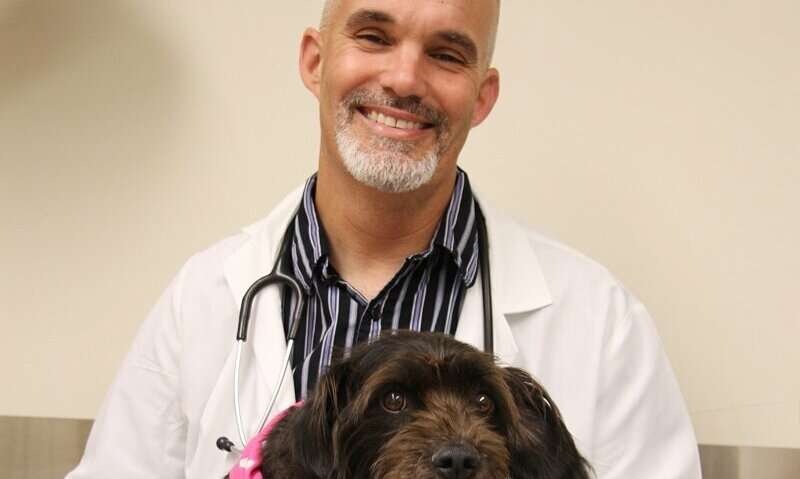 New precision medicine procedure fights cancer, advances treatment for pets and humans