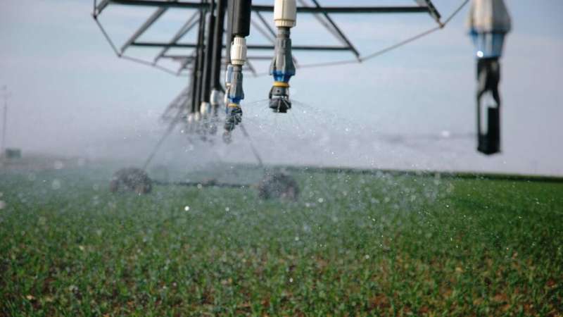 New publication examines consequences of groundwater depletion to agriculture