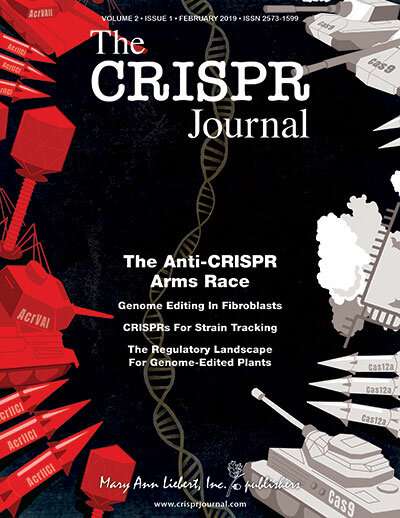 New strategy improves efficiency of CRISPR-Cas9 genome editing