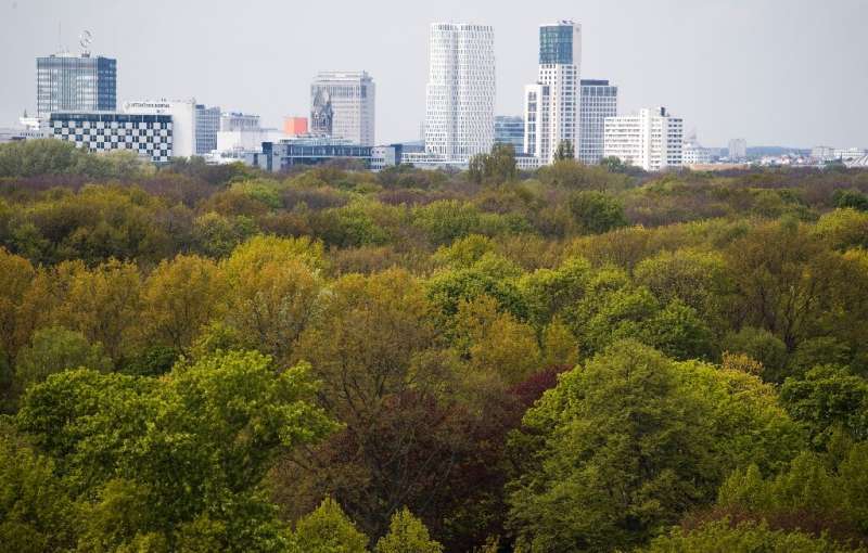 Nightingales have been flocking to Berlin whose scruffy thick foliage in gardens and parks such as the Tiergarten (pictured) is 