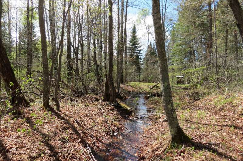 Nitrogen pollution's path to streams weaves through more forests (and faster) than suspected