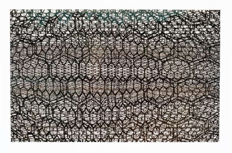 No ink needed for these graphene artworks